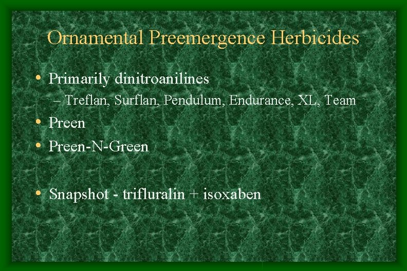 Ornamental Preemergence Herbicides • Primarily dinitroanilines – Treflan, Surflan, Pendulum, Endurance, XL, Team • Ornamental Preemergence Herbicides • Primarily dinitroanilines – Treflan, Surflan, Pendulum, Endurance, XL, Team •