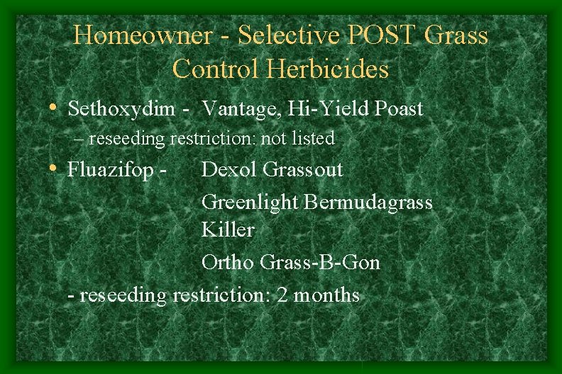 Homeowner - Selective POST Grass Control Herbicides • Sethoxydim - Vantage, Hi-Yield Poast – Homeowner - Selective POST Grass Control Herbicides • Sethoxydim - Vantage, Hi-Yield Poast –