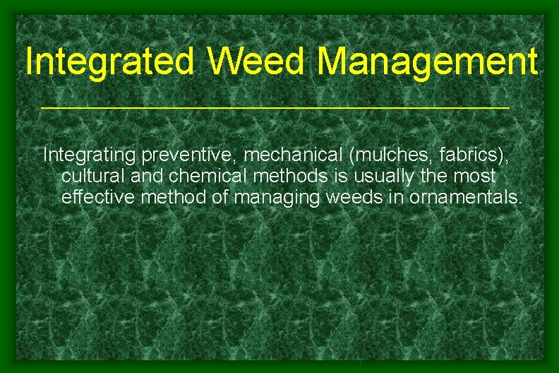 Integrated Weed Management Integrating preventive, mechanical (mulches, fabrics), cultural and chemical methods is usually Integrated Weed Management Integrating preventive, mechanical (mulches, fabrics), cultural and chemical methods is usually