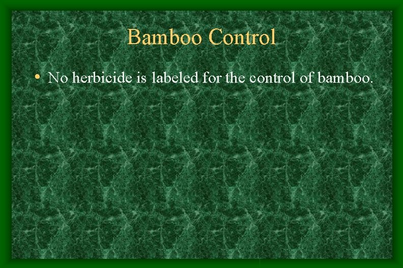 Bamboo Control • No herbicide is labeled for the control of bamboo. Bamboo Control • No herbicide is labeled for the control of bamboo.