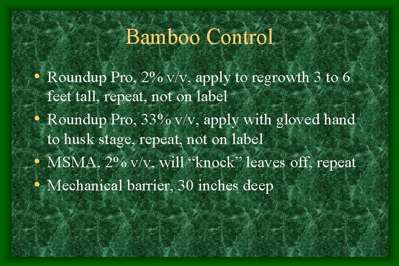 Bamboo Control • Roundup Pro, 2% v/v, apply to regrowth 3 to 6 feet Bamboo Control • Roundup Pro, 2% v/v, apply to regrowth 3 to 6 feet