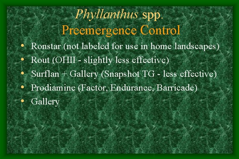 Phyllanthus spp. Preemergence Control • • • Ronstar (not labeled for use in home Phyllanthus spp. Preemergence Control • • • Ronstar (not labeled for use in home