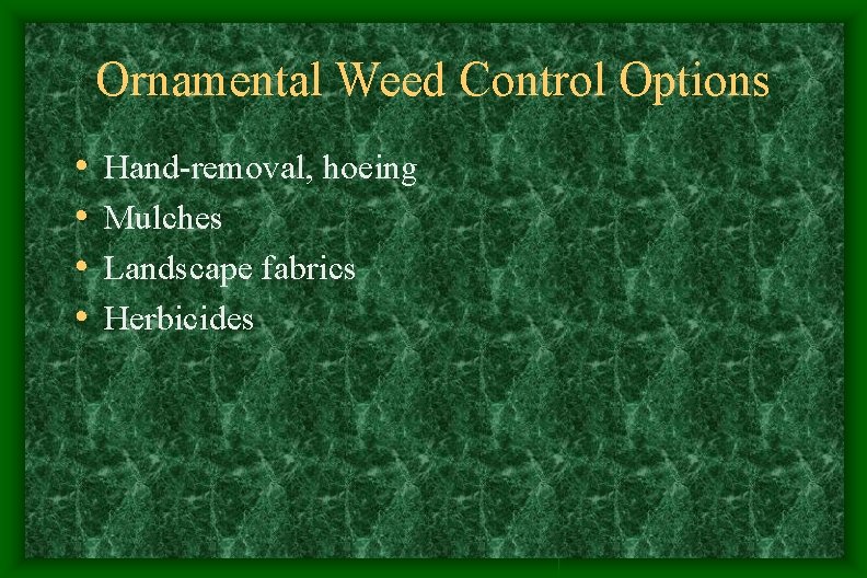 Ornamental Weed Control Options • • Hand-removal, hoeing Mulches Landscape fabrics Herbicides Ornamental Weed Control Options • • Hand-removal, hoeing Mulches Landscape fabrics Herbicides