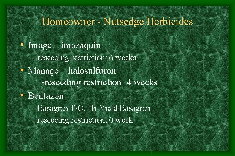 Homeowner - Nutsedge Herbicides • Image – imazaquin – reseeding restriction: 6 weeks • Homeowner - Nutsedge Herbicides • Image – imazaquin – reseeding restriction: 6 weeks •