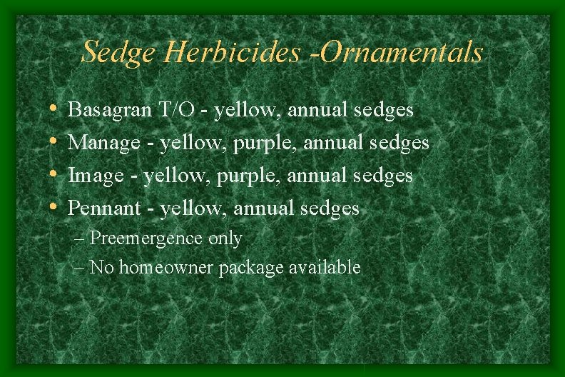 Sedge Herbicides -Ornamentals • • Basagran T/O - yellow, annual sedges Manage - yellow, Sedge Herbicides -Ornamentals • • Basagran T/O - yellow, annual sedges Manage - yellow,