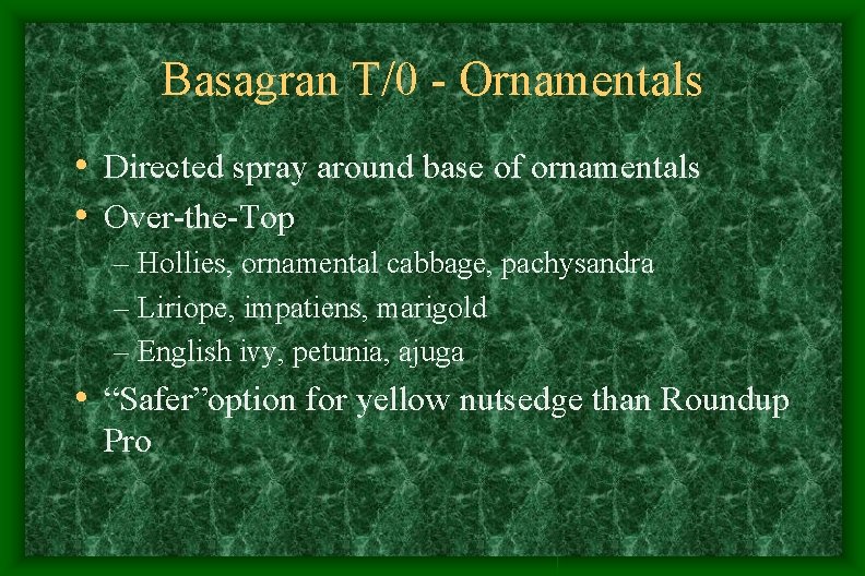 Basagran T/0 - Ornamentals • Directed spray around base of ornamentals • Over-the-Top – Basagran T/0 - Ornamentals • Directed spray around base of ornamentals • Over-the-Top –