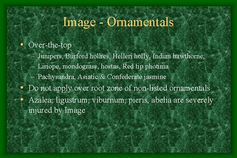 Image - Ornamentals • Over-the-top – Junipers, Burford hollies, Helleri holly, Indian hawthorne, – Image - Ornamentals • Over-the-top – Junipers, Burford hollies, Helleri holly, Indian hawthorne, –
