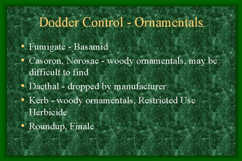 Dodder Control - Ornamentals • Fumigate - Basamid • Casoron, Norosac - woody ornamentals, Dodder Control - Ornamentals • Fumigate - Basamid • Casoron, Norosac - woody ornamentals,