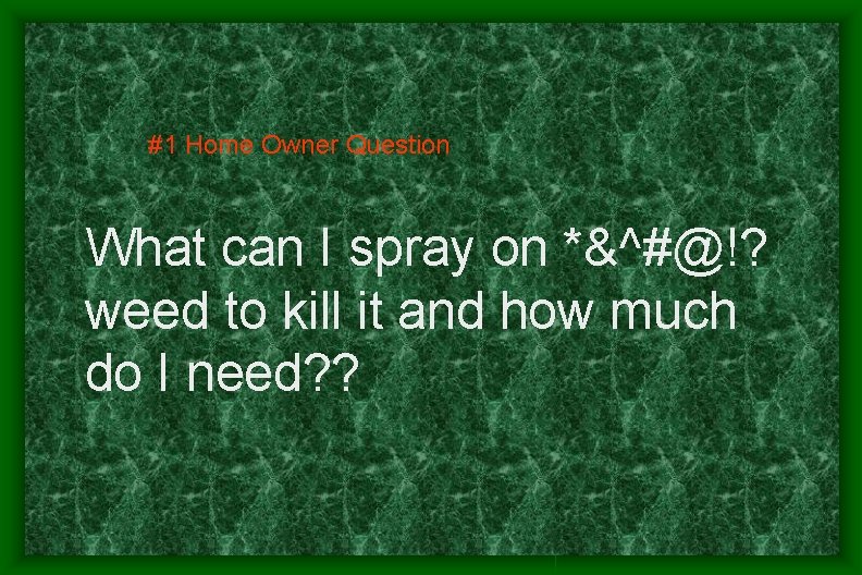 #1 Home Owner Question What can I spray on *&^#@!? weed to kill it #1 Home Owner Question What can I spray on *&^#@!? weed to kill it