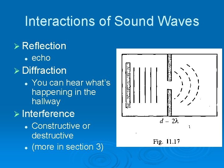 Interactions of Sound Waves Ø Reflection l echo Ø Diffraction l You can hear