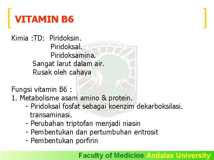 VITAMIN B 6 Kimia : TD: Piridoksin. Piridoksal. Piridoksamina. Sangat larut dalam air. Rusak