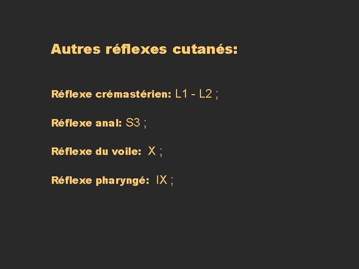 Autres réflexes cutanés: Réflexe crémastérien: Réflexe anal: S 3 ; Réflexe du voile: X Autres réflexes cutanés: Réflexe crémastérien: Réflexe anal: S 3 ; Réflexe du voile: X