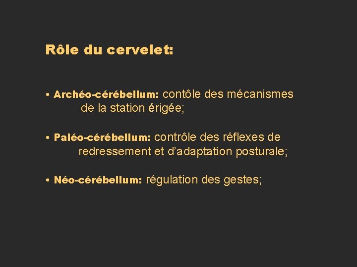 Rôle du cervelet: • Archéo-cérébellum: contôle des mécanismes de la station érigée; • Paléo-cérébellum: Rôle du cervelet: • Archéo-cérébellum: contôle des mécanismes de la station érigée; • Paléo-cérébellum: