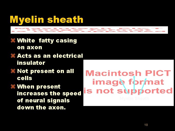 Myelin sheath z White fatty casing on axon z Acts as an electrical insulator