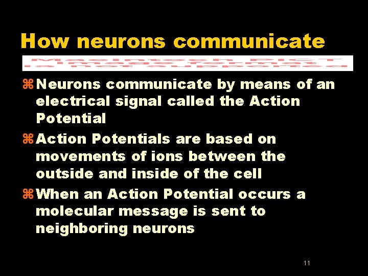 How neurons communicate z Neurons communicate by means of an electrical signal called the