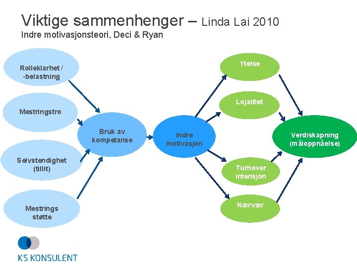 Viktige sammenhenger – Linda Lai 2010 Indre motivasjonsteori, Deci & Ryan Ytelse Rolleklarhet /