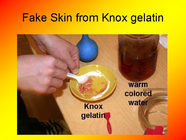 Fake Skin from Knox gelatin 