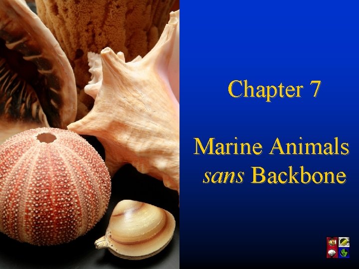 Chapter 7 Marine Animals sans Backbone 