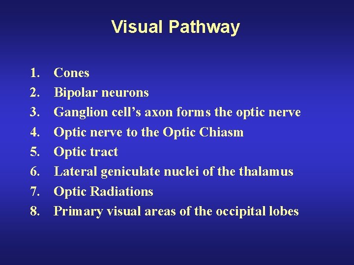 Visual Pathway 1. 2. 3. 4. 5. 6. 7. 8. Cones Bipolar neurons Ganglion