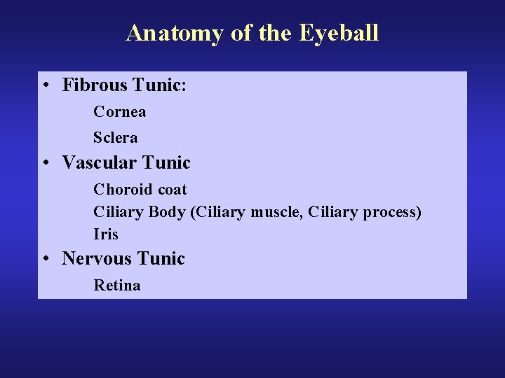 Anatomy of the Eyeball • Fibrous Tunic: Cornea Sclera • Vascular Tunic Choroid coat