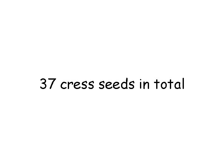37 cress seeds in total 