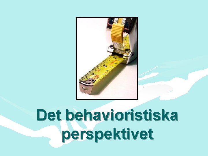 Det behavioristiska perspektivet 