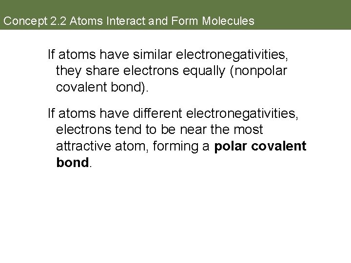 Concept 2. 2 Atoms Interact and Form Molecules If atoms have similar electronegativities, they