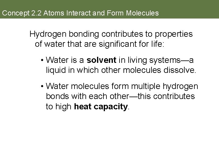 Concept 2. 2 Atoms Interact and Form Molecules Hydrogen bonding contributes to properties of