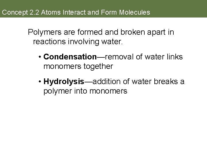 Concept 2. 2 Atoms Interact and Form Molecules Polymers are formed and broken apart