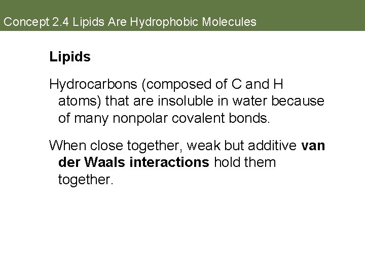 Concept 2. 4 Lipids Are Hydrophobic Molecules Lipids Hydrocarbons (composed of C and H