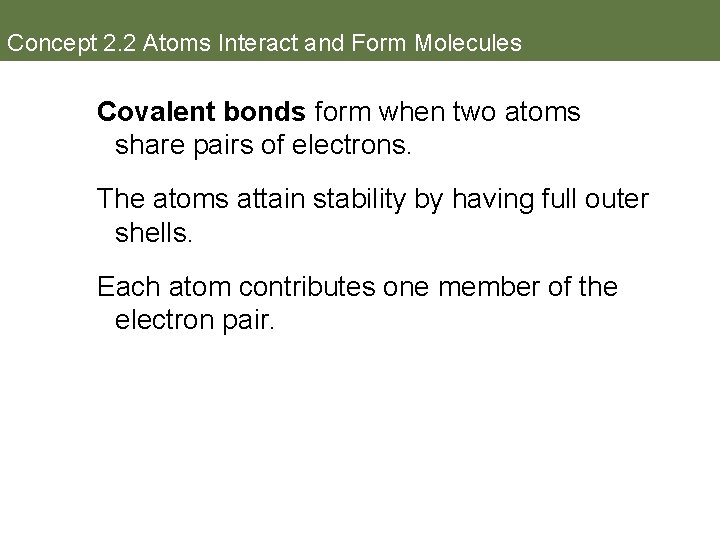 Concept 2. 2 Atoms Interact and Form Molecules Covalent bonds form when two atoms