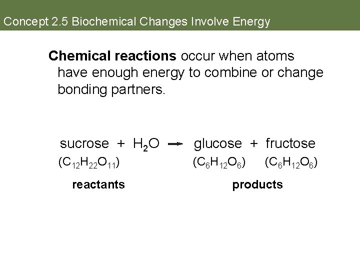 Concept 2. 5 Biochemical Changes Involve Energy Chemical reactions occur when atoms have enough