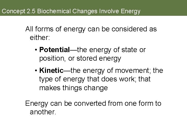 Concept 2. 5 Biochemical Changes Involve Energy All forms of energy can be considered