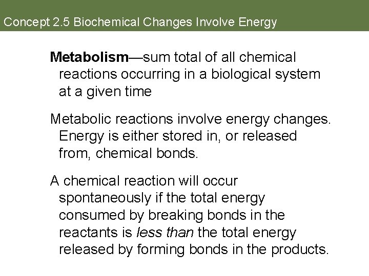 Concept 2. 5 Biochemical Changes Involve Energy Metabolism—sum total of all chemical reactions occurring