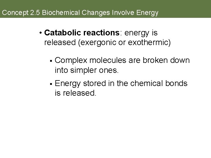 Concept 2. 5 Biochemical Changes Involve Energy • Catabolic reactions: energy is released (exergonic