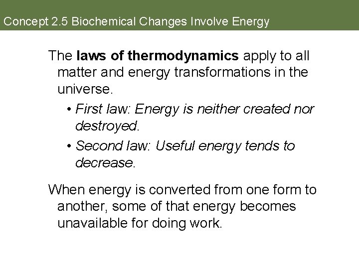 Concept 2. 5 Biochemical Changes Involve Energy The laws of thermodynamics apply to all