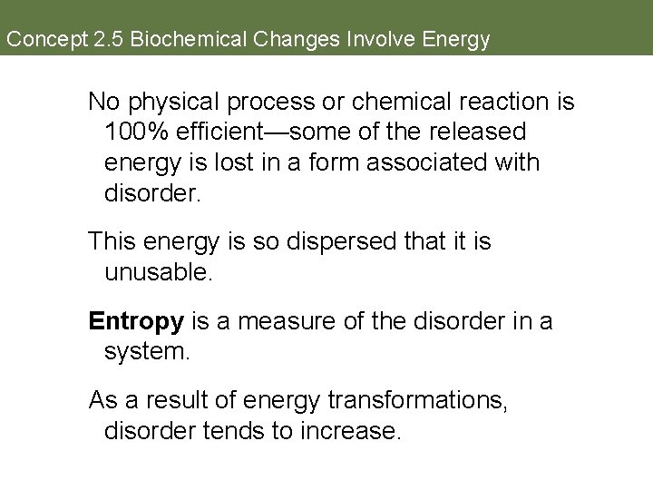 Concept 2. 5 Biochemical Changes Involve Energy No physical process or chemical reaction is