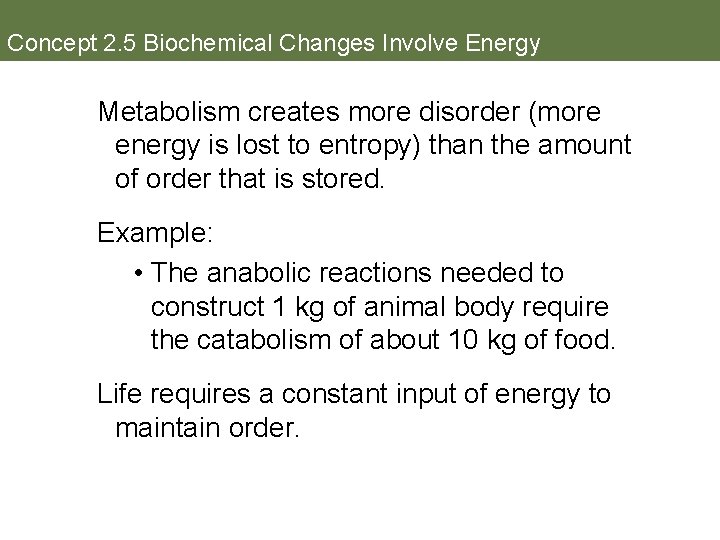 Concept 2. 5 Biochemical Changes Involve Energy Metabolism creates more disorder (more energy is