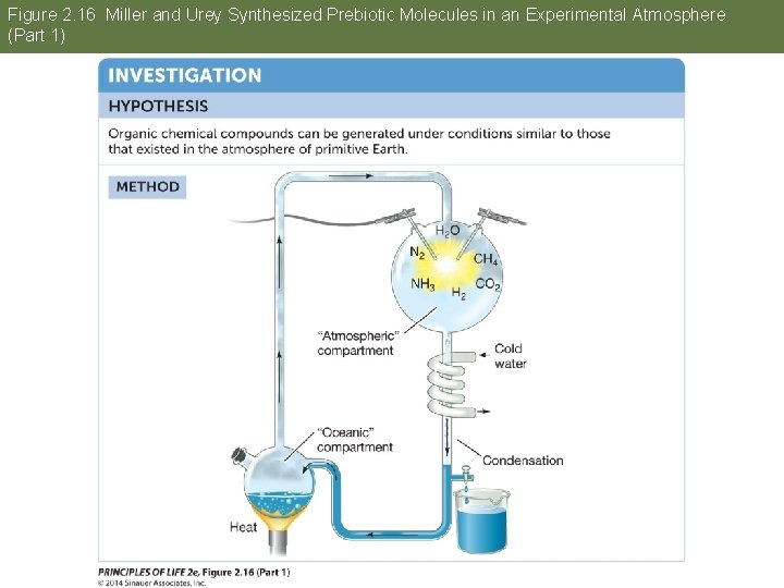 Figure 2. 16 Miller and Urey Synthesized Prebiotic Molecules in an Experimental Atmosphere (Part