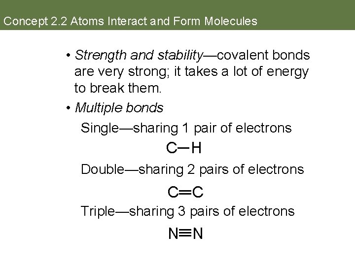 Concept 2. 2 Atoms Interact and Form Molecules • Strength and stability—covalent bonds are