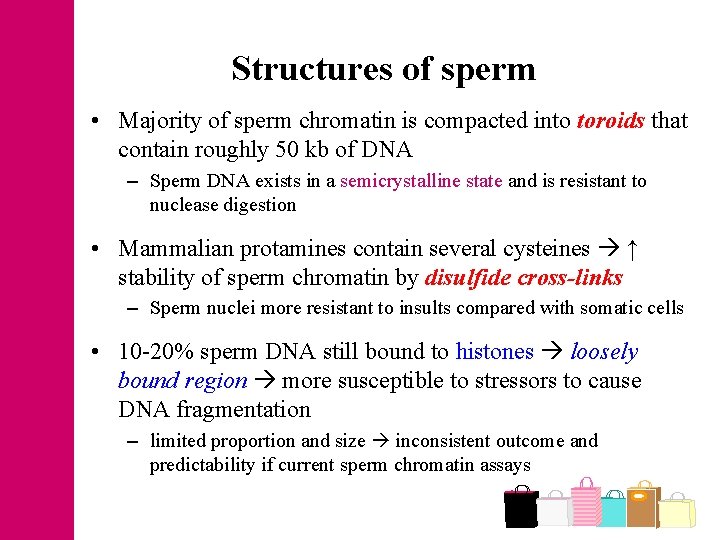 Structures of sperm • Majority of sperm chromatin is compacted into toroids that contain