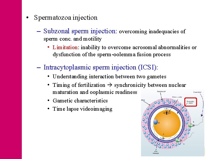  • Spermatozoa injection – Subzonal sperm injection: overcoming inadequacies of sperm conc. and