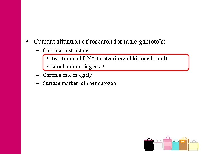  • Current attention of research for male gamete’s: – Chromatin structure: • two