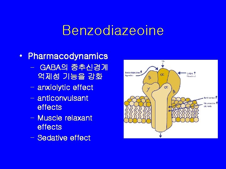 Benzodiazeoine • Pharmacodynamics – GABA의 중추신경계 억제성 기능을 강화 – anxiolytic effect – anticonvulsant