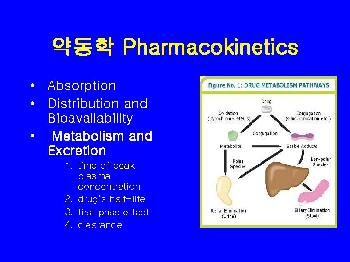 약동학 Pharmacokinetics • Absorption • Distribution and Bioavailability • Metabolism and Excretion 1. time