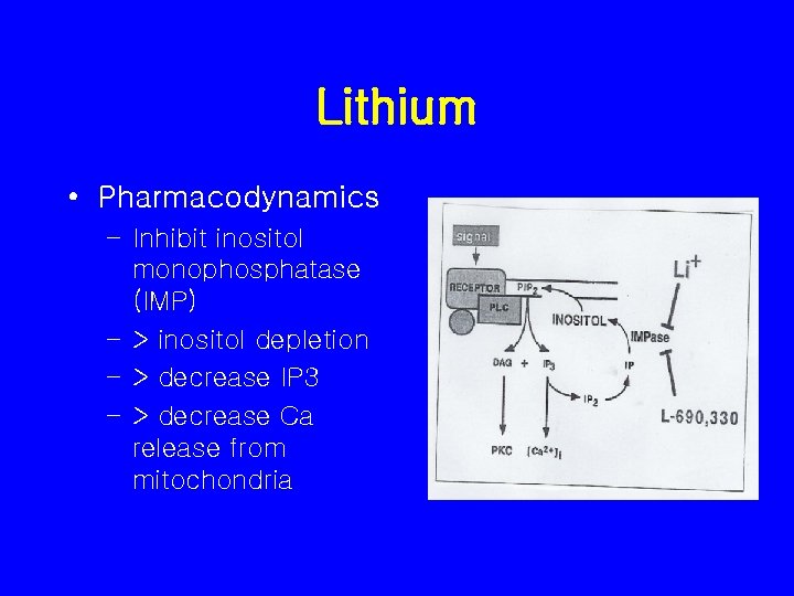 Lithium • Pharmacodynamics – Inhibit inositol monophosphatase (IMP) – > inositol depletion – >