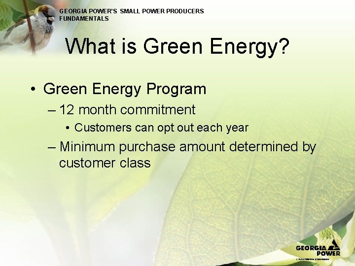 GEORGIA POWER’S SMALL POWER PRODUCERS FUNDAMENTALS What is Green Energy? • Green Energy Program