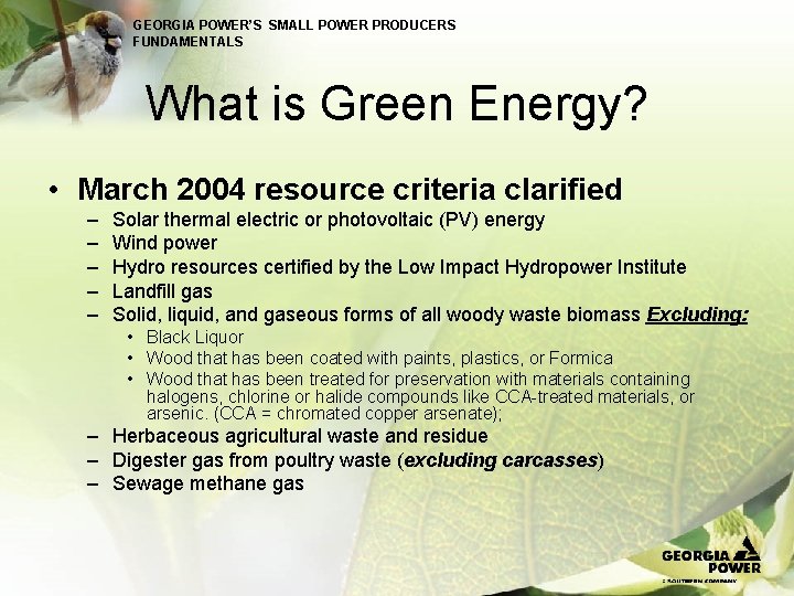 GEORGIA POWER’S SMALL POWER PRODUCERS FUNDAMENTALS What is Green Energy? • March 2004 resource