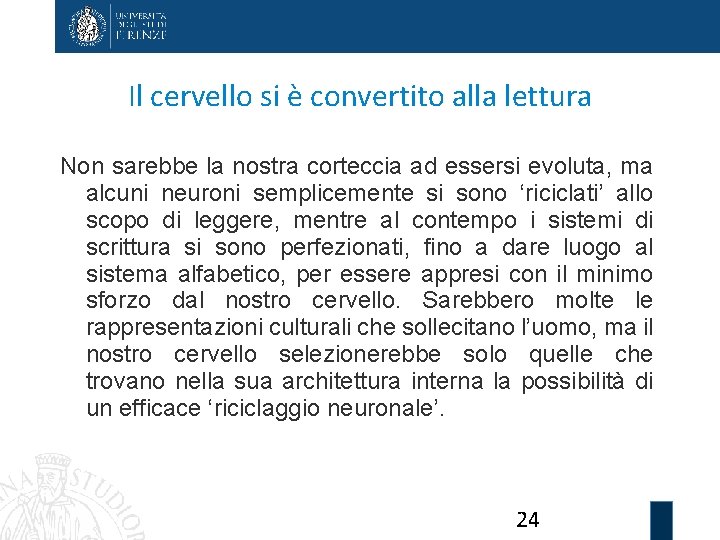 Il cervello si è convertito alla lettura Non sarebbe la nostra corteccia ad essersi
