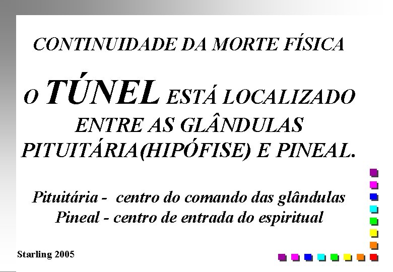 CONTINUIDADE DA MORTE FÍSICA O TÚNEL ESTÁ LOCALIZADO ENTRE AS GL NDULAS PITUITÁRIA(HIPÓFISE) E